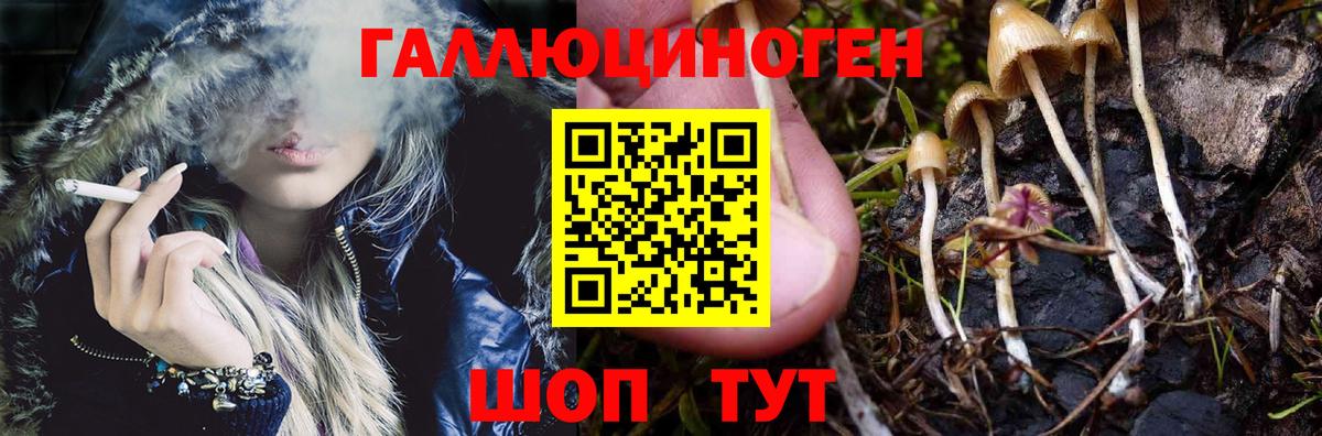 ГАШ  Конопля  Меф МЯУ МЯУ   Кинель  Вход с VPN  Гашиш 