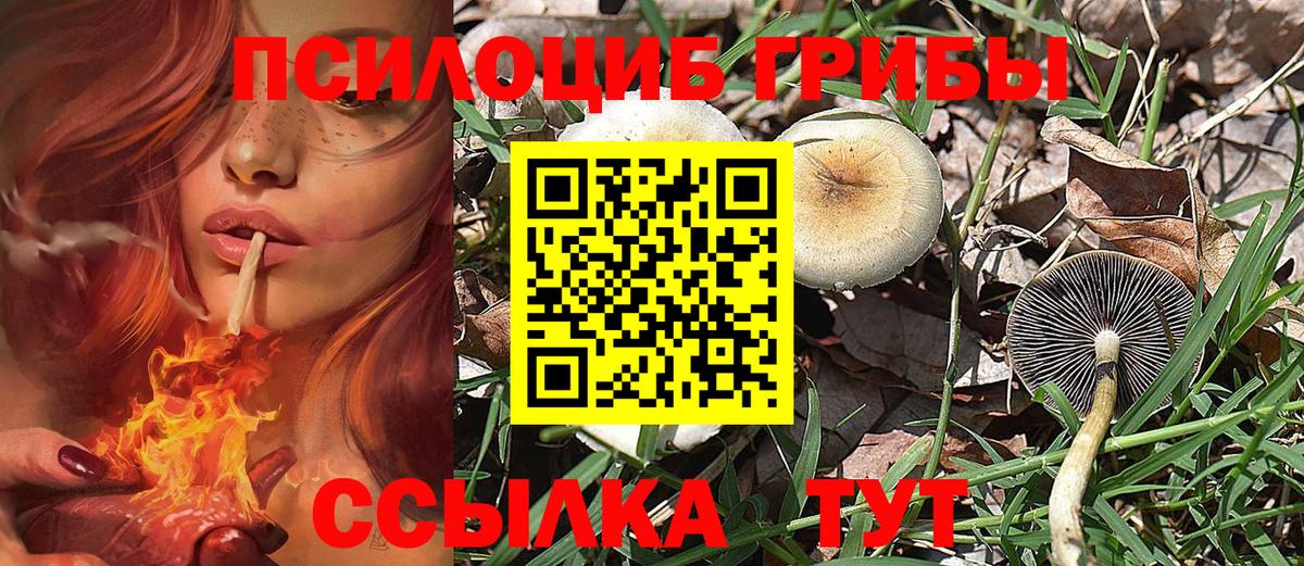 Псилоцибиновые грибы ЛСД Кинель